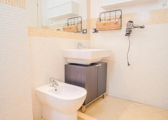 Historical Filippini Flat - Italian Homing *
