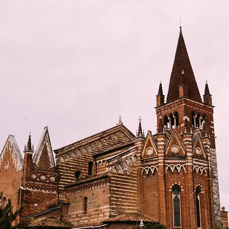Historical Filippini Flat - Italian Homing *