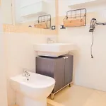 Historical Filippini Flat - Italian Homing *