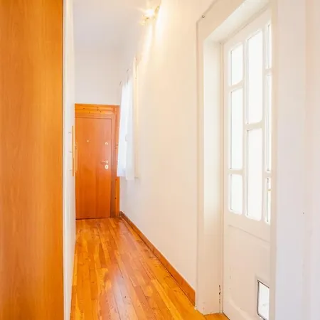 Historical Filippini Flat - Italian Homing * فيرونا